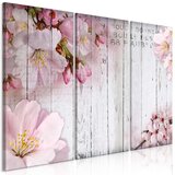  Slika - Flowers on Boards (3 Parts) 120x80 Cijene
