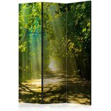Artgeist PARAVAN 135/172/3 cm zelena, temno zelena Slike
