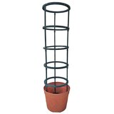 Garden Pleasure Podpora za rastline na prostem - | Shoptok.si