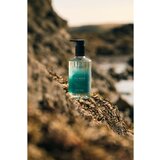 Scottish Fine Soaps Sea Kelp Hand Wash tekući sapun s pumpicom 300 ml | shoptok.hr