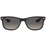 Ray-ban New Wayfarer Junior RJ9052S 100/11 L (48) Črna/Siva cene