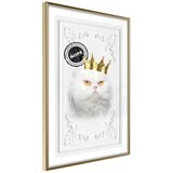  Poster - Cat Rules II 20x30 Cijene