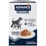 Affinity Advance Veterinary Diets Advance Veterinary Diets Recovery - 22 x 100 g
