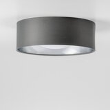  LED plafonsko svetlo LED/12W/230V Ø 32 cm siva/srebrna | Eponuda.com