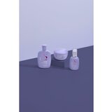 ALFAPARF MILANO Semi di Lino Smooth poklon set za neposlušnu i anti-frizz kosu 3 kom | shoptok.hr