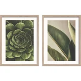 Tiskane slike u setu 2 kom s okvirom 30x40 cm Beauty Green –