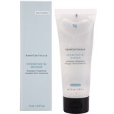 Skinceuticals Moisturize Hydrating B5 Masque intenzivna hidratantna maska 75 ml | shoptok.hr