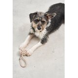 MiaCara Igračka za psa Nodo Greige – | shoptok.hr