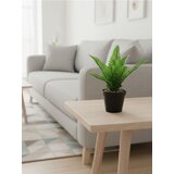 Sinsay Dekorativna biljka u posudi | shoptok.hr
