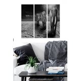 Wallity Set slika MDF590020, 3 dijela Cijene