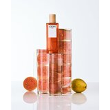 Loewe Solo toaletna voda za muškarce 50 ml | shoptok.hr