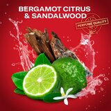 Old Spice Restart trdi deodorant za moške 65 ml | Shoptok.si