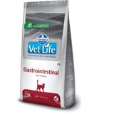 Vet Liife vet life medicinska hrana za mačke gastrointestinal,