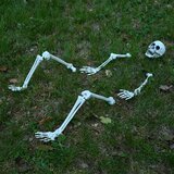 Halloween Skelet sa Šiljcima za Tlo Bijelo 45,5 x 13 cm | shoptok.hr