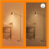 Wiz Pametni regulator svjetla – | shoptok.hr