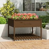 vidaXL Sadilica policom boja meda 111 5x111 5x81cm od masivne borovine u