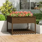 vidaXL Sadilica policom boja meda 111 5x111 5x81cm od masivne borovine