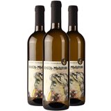Vinarija Patkov AKCIJA 2+1 Knjaz Miškin
