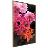  Poster - Successful Date II 30x45 Cijene