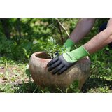 Rukavice PLANT 4v1 br.8 | shoptok.hr