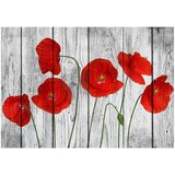  Tapeta - Tale of Red Poppies 400x280 | shoptok.hr