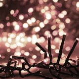  LED veriga z 2000 LED lučkami toplo bela 17 m PVC, (20669756) | Shoptok.si