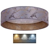  Brilagi - LED stropna svetiljka VELVET STAR LED/24W/230V prečnik 40 cm siva/zlatna | Eponuda.com