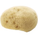 Avril Fine Natural Face Sponge | shoptok.hr