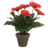  Umjetna biljka Gerbera (Visina: 35 cm, Roze boje, Plastika) Cijene