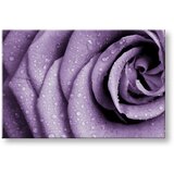  Slike na platnu cveće (moderne slike na platnu) | ePonuda.com