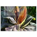 WALLXPERT dekorativna slika 1152 (70 x 100) | ePonuda.com