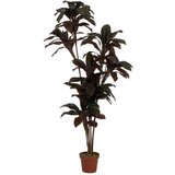 Ixia Umetna rastlina (višina 170 cm) – | Shoptok.si