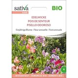 Sativa Ekološki enoletni cvet "dišeči grahor" Cene