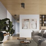 Nice Lamps Črna stropna svetilka Castro – | Shoptok.si