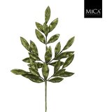 Mömax Okrasna Vejica List Cene