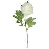  Umetna roža Potonika (Višina: 76 cm, Blanca, Plastika) Cene