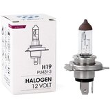 Mtech Sijalica H19 PU43T-3, 12 V, 60/55 W Cene
