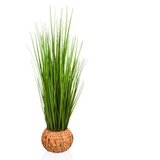MID.YOU Umetna Rastlina Cortaderia Cene