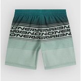 O'neill Logo Stripe Kids Boardshorts boys green heritage | Shoptok.si