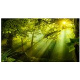  Samoljepljiva foto tapeta - In a Secret Forest II 490x280 | shoptok.hr