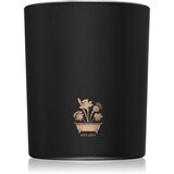 Noble Isle Willow Song mirisna svijeća 200 g Cijene