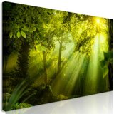  Slika - In the Sunshine (1 Part) Narrow 150x50 Cijene