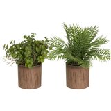 Casa Selección Umetne rastline v kompletu 2 ks (višina 22 cm) – Cene