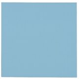 Thermal Grizzly Termična blazinica Minus Pad Pro, 100x100x1 mm, 2 kosa | Shoptok.si
