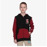 Champion Hooded sweatshirt | Eponuda.com