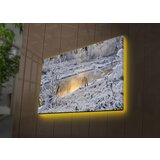 Wallity Slika sa LED osvetljenjem 4570DACT-76, 45x70 cm | ePonuda.com