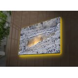 Wallity Zidna slika sa LED osvetljenjem 4570DACT-76, 45x70 cm | Eponuda.ba
