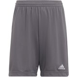 Adidas Športne hlače 'Entrada 22' temno siva / bela Cene