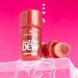 Essence water DEW SERUM BLUSH tekuće rumenilo s posvjetljujućim učinkom nijansa 30 Rose Mood 3.5 ml | shoptok.hr