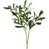 Mondex umetna veja plastika Viridis Oljka 90cm zelena 1kos, (5000329489) | Shoptok.si